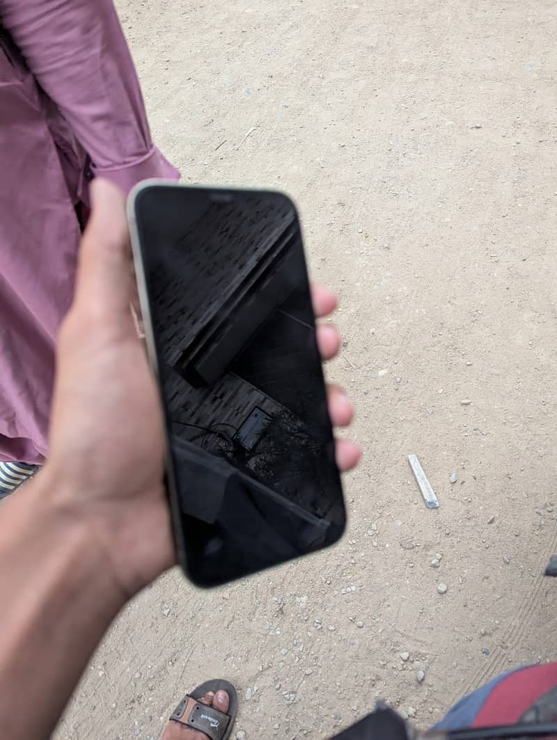 Apple iPhone 12 Pro Max 1