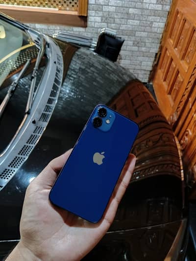 iPhone 12 mini waterpack