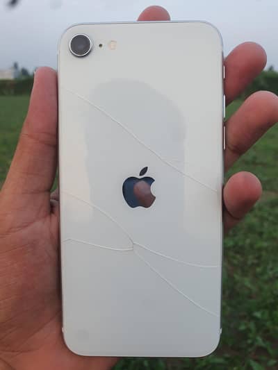 Apple iPhone SE 2 ( 2020 )