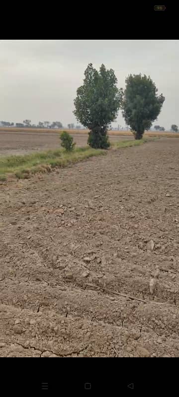 Agriculture land for sale