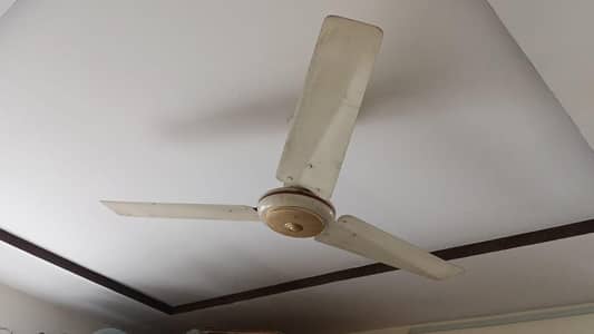 Fan 56 "