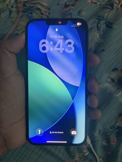 Apple iPhone 13 Pro Max