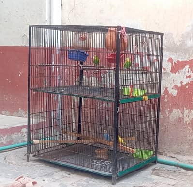 2 portionCage || Big size cage ||