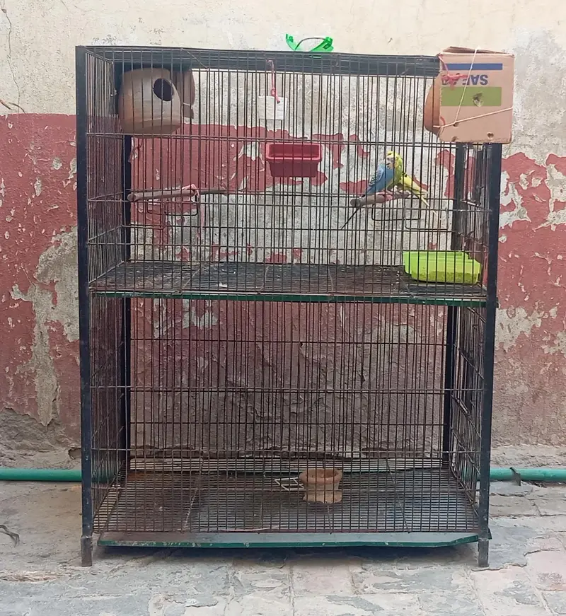 2 portionCage || Big size cage || — photo 2
