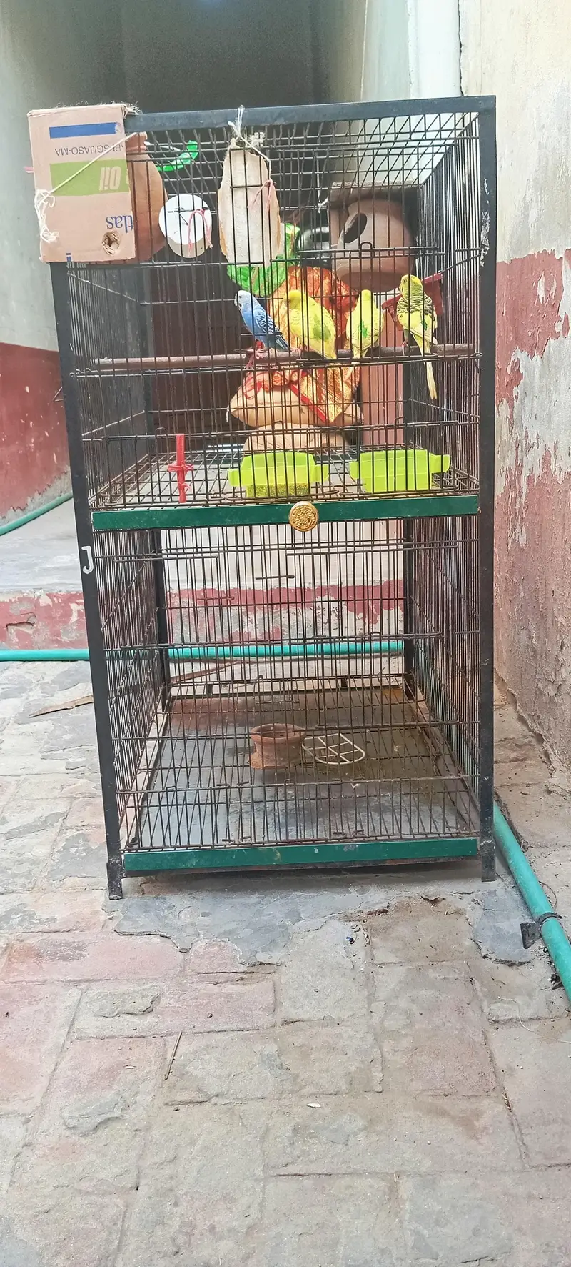 2 portionCage || Big size cage || — photo 3