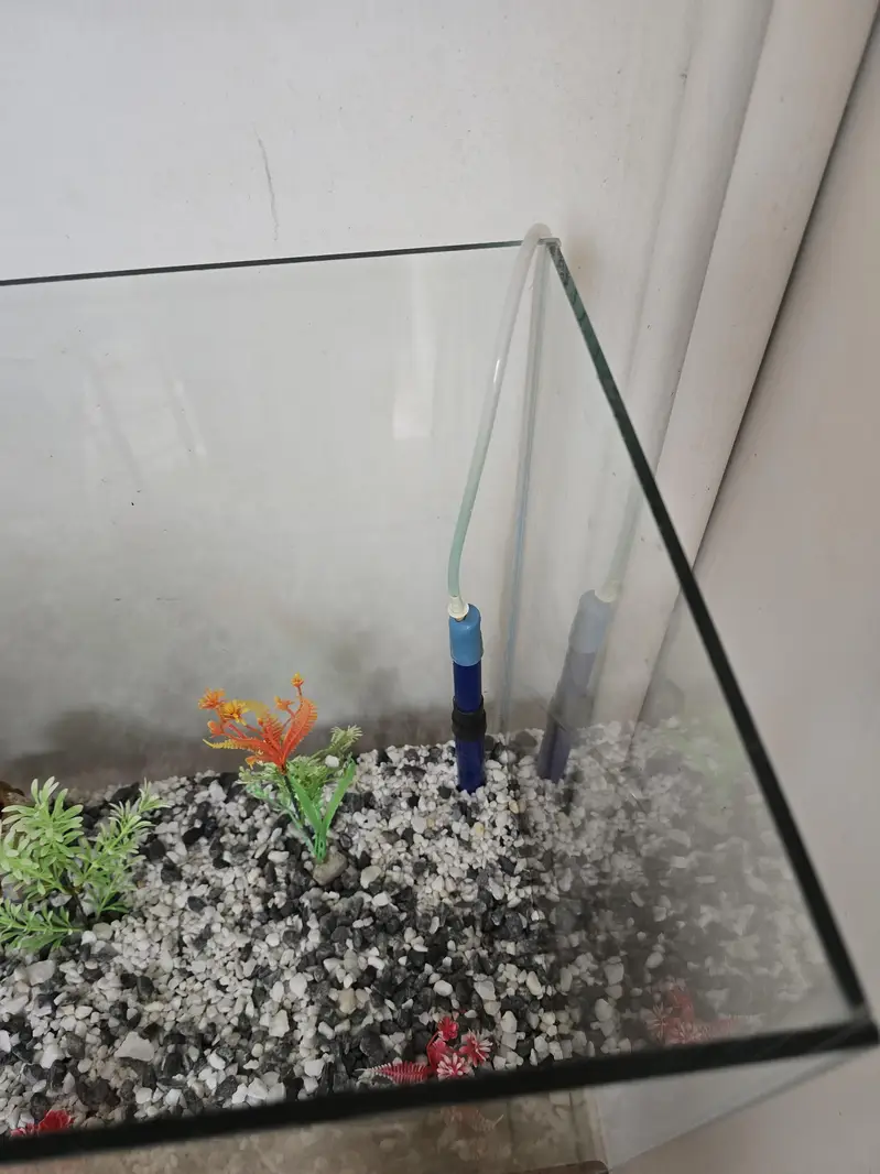 Aquarium with Wooden Stand – Complete Setup — photo 5