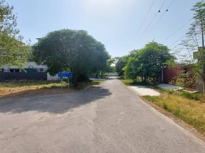 1 Kanal Ideal Location Facing Park Near Mosque And Main College Road Approach Plot For Sale