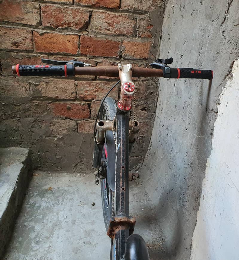 full size cycle . 2
