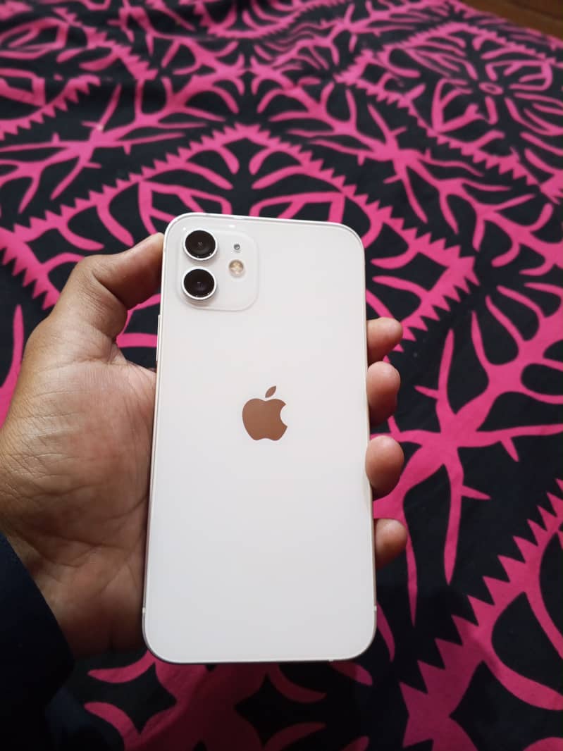 Apple iPhone 12 1