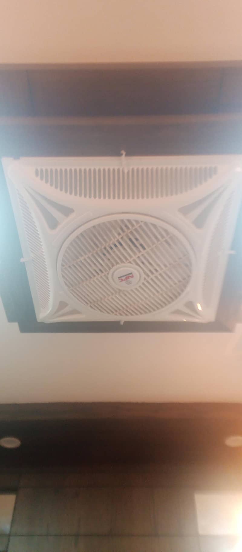 ceiling fan 1