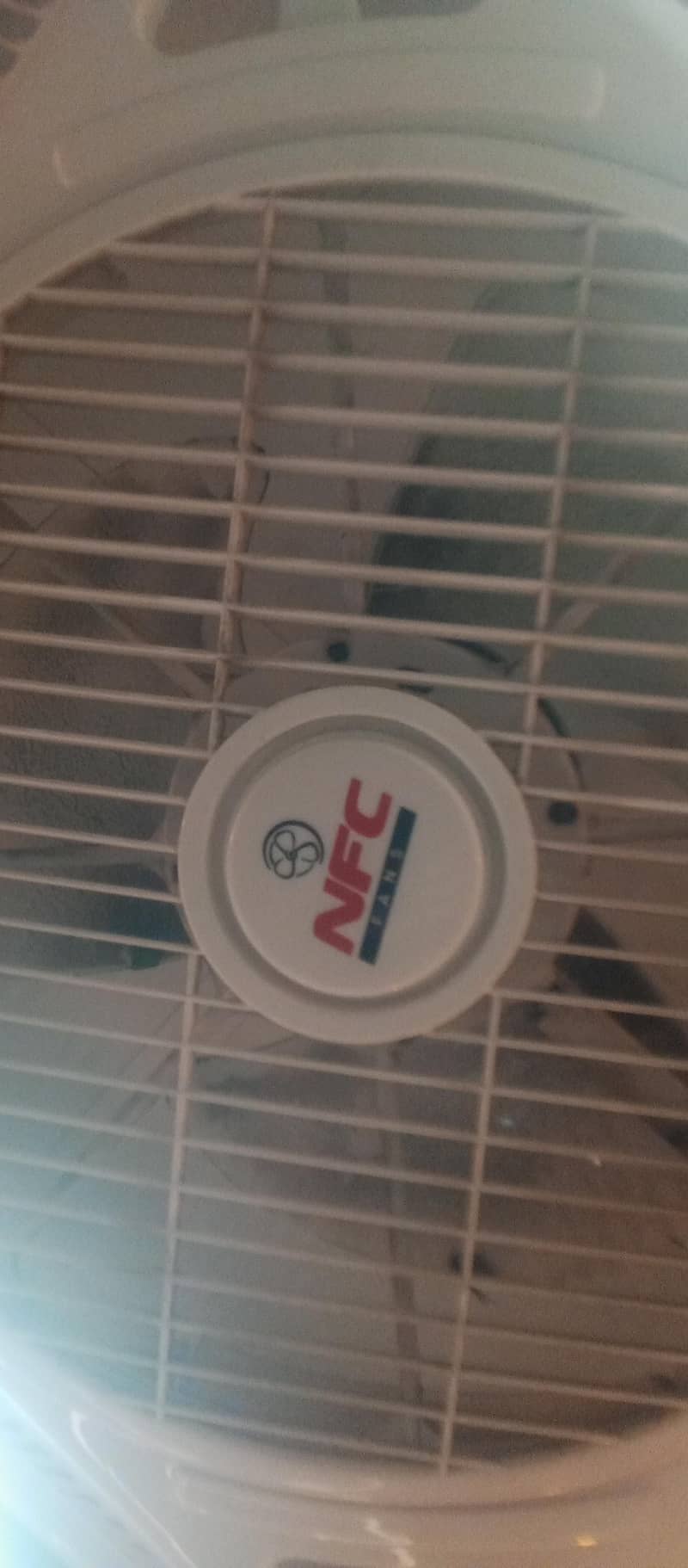 ceiling fan 2