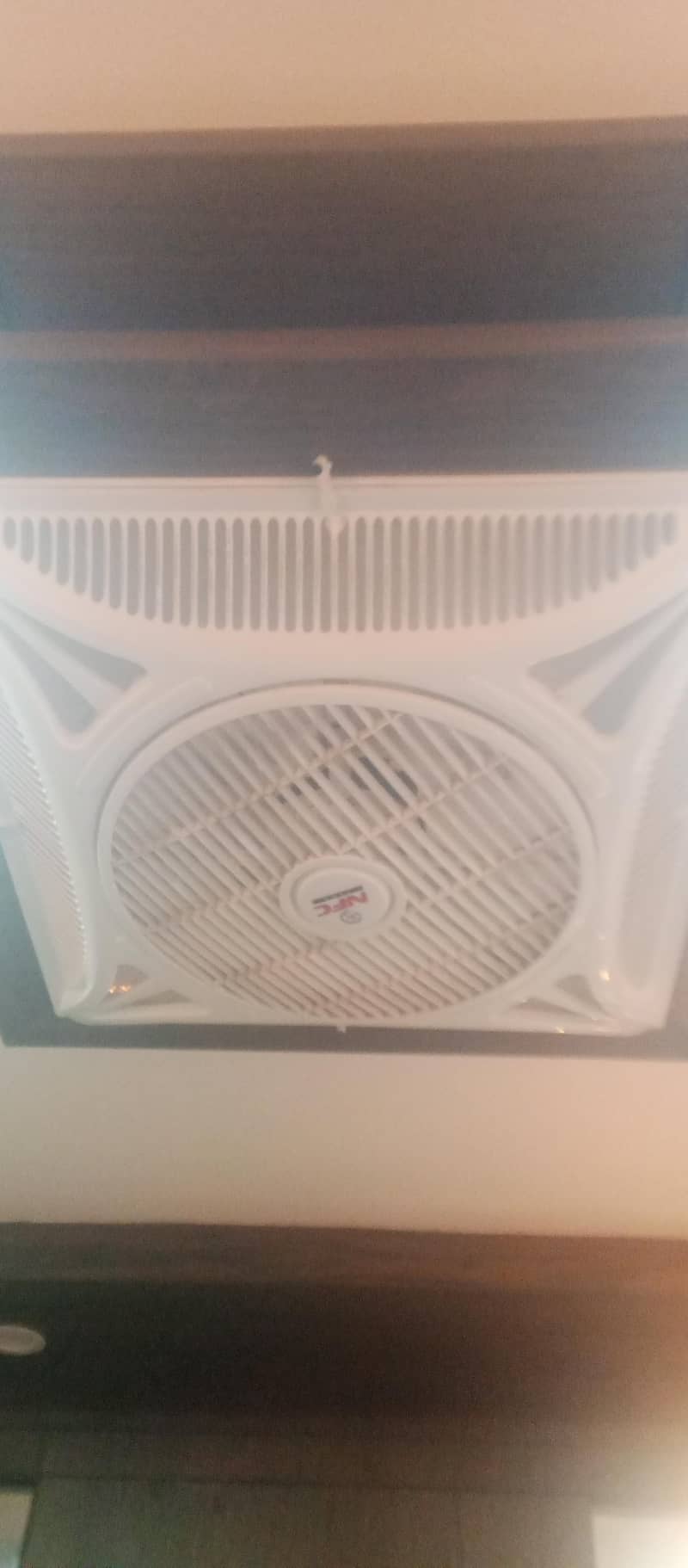 ceiling fan 3