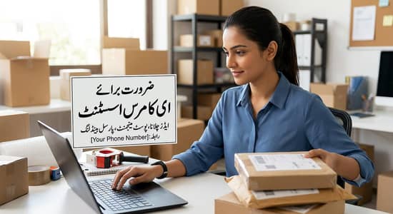 E-Commerce & Social Media Assistant (Male / Female)