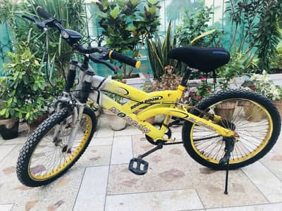 Morgan 20 Size  Bicycle Ready To Ride