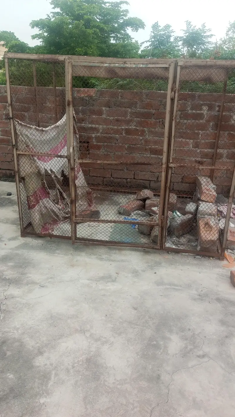 loha cage — photo 2