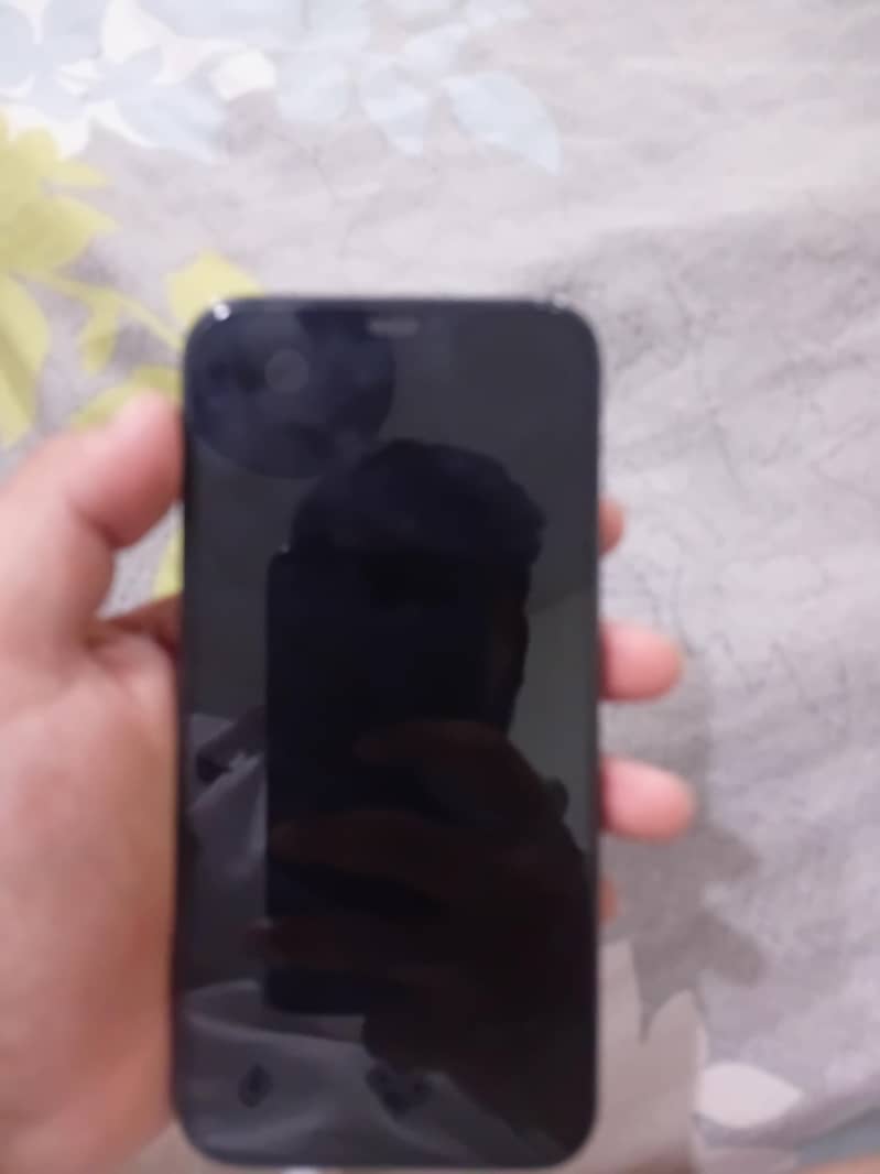 Apple iPhone 12 Pro Max 4
