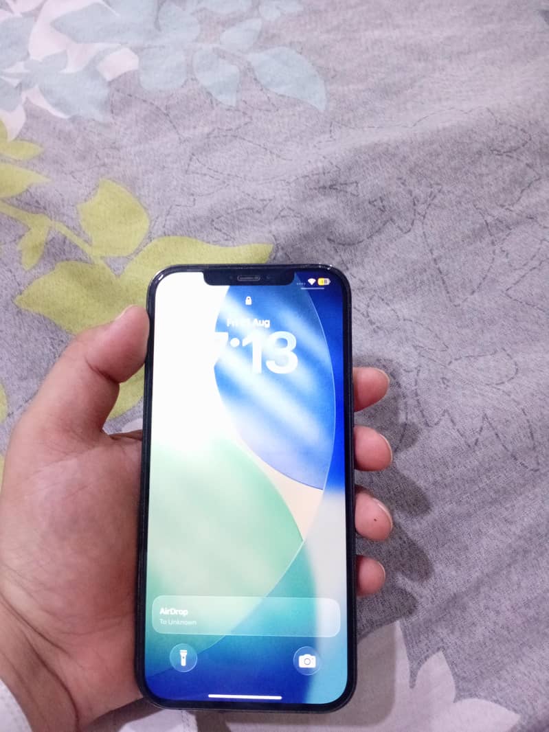 Apple iPhone 12 Pro Max 5