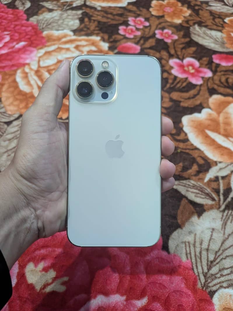 Apple iPhone 13 Pro Max 1