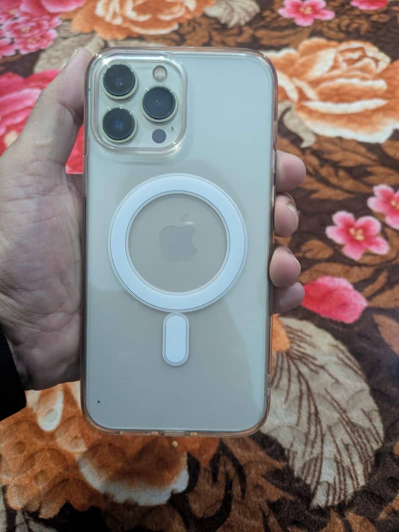 Apple iPhone 13 Pro Max 2