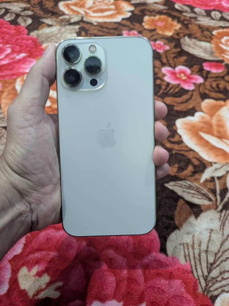 Apple iPhone 13 Pro Max 3