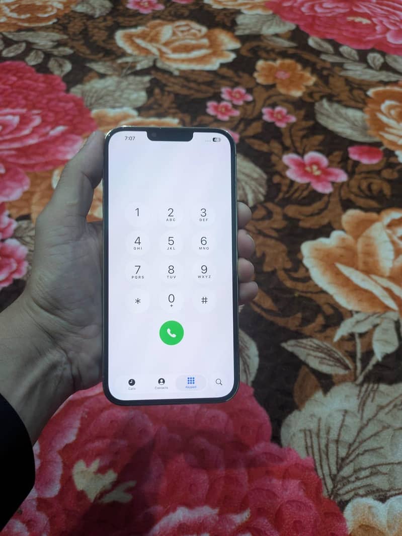 Apple iPhone 13 Pro Max 4