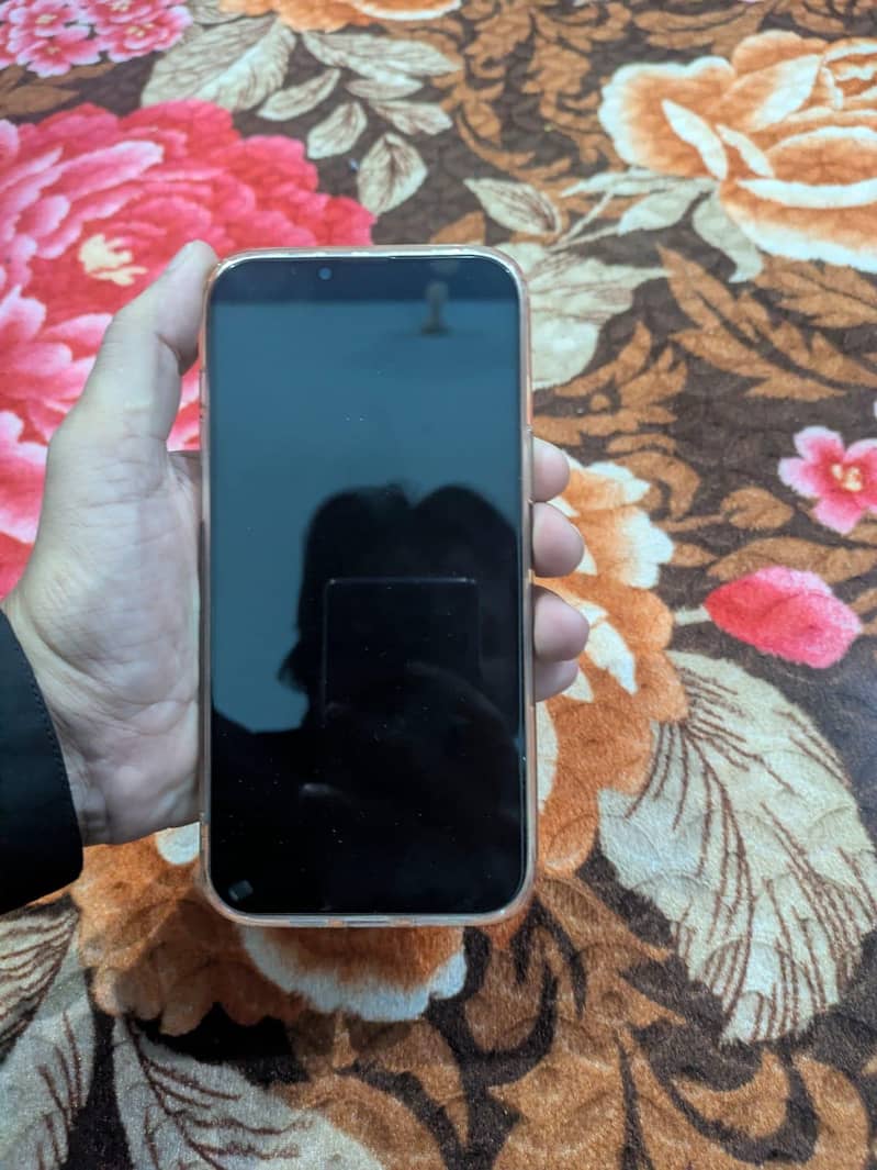 Apple iPhone 13 Pro Max 5