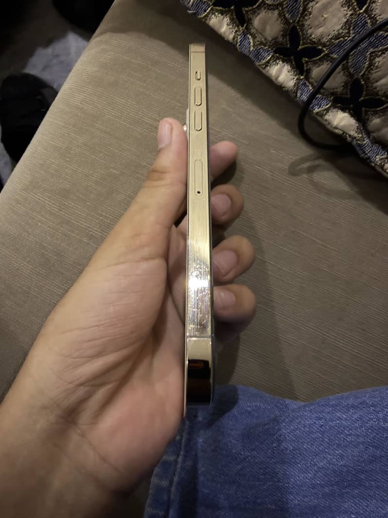 Apple iPhone 12 Pro Max 1