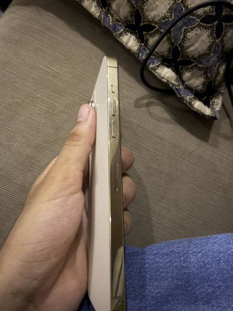 Apple iPhone 12 Pro Max 2
