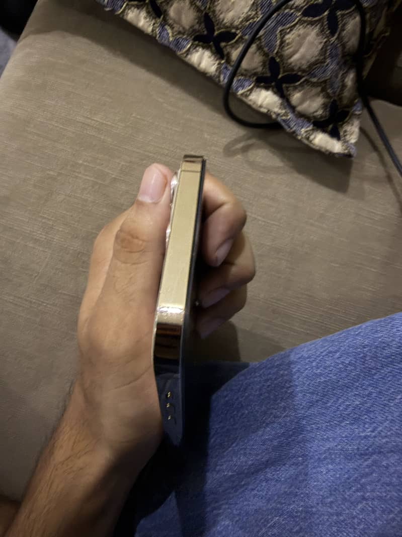 Apple iPhone 12 Pro Max 4