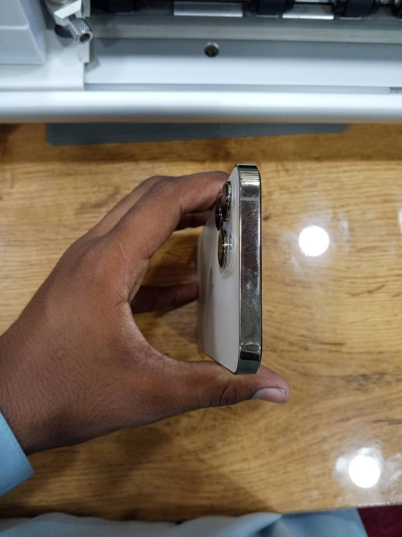Apple iPhone 13 Pro Max 1