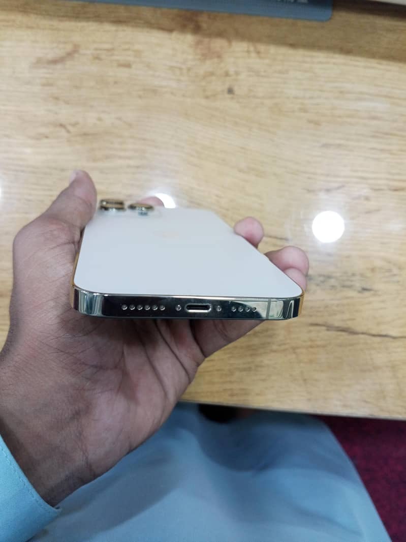 Apple iPhone 13 Pro Max 4