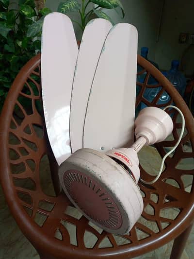 Ceiling Fans for Sale