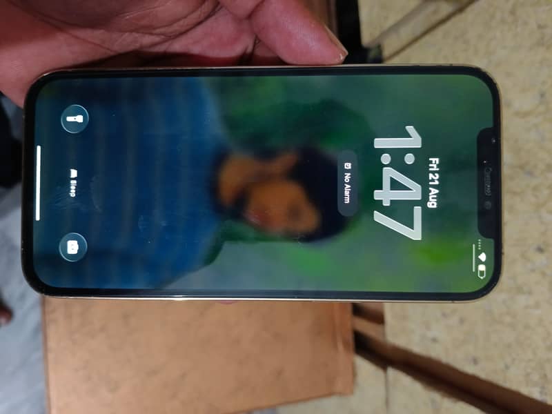 Apple iPhone 12 Pro Max 9