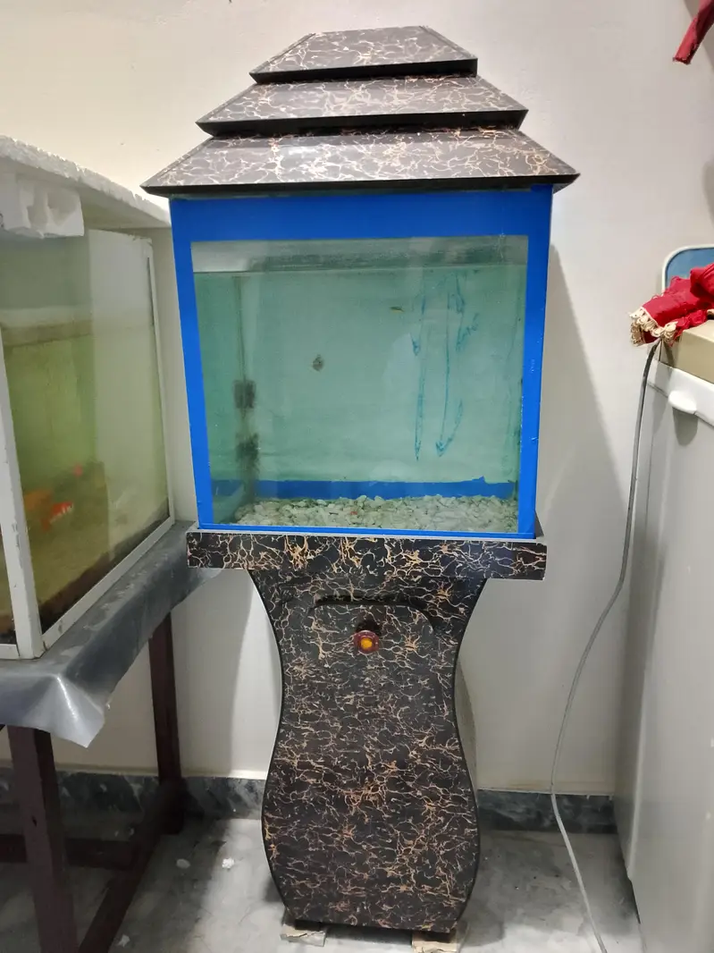 Aquarium — photo 2