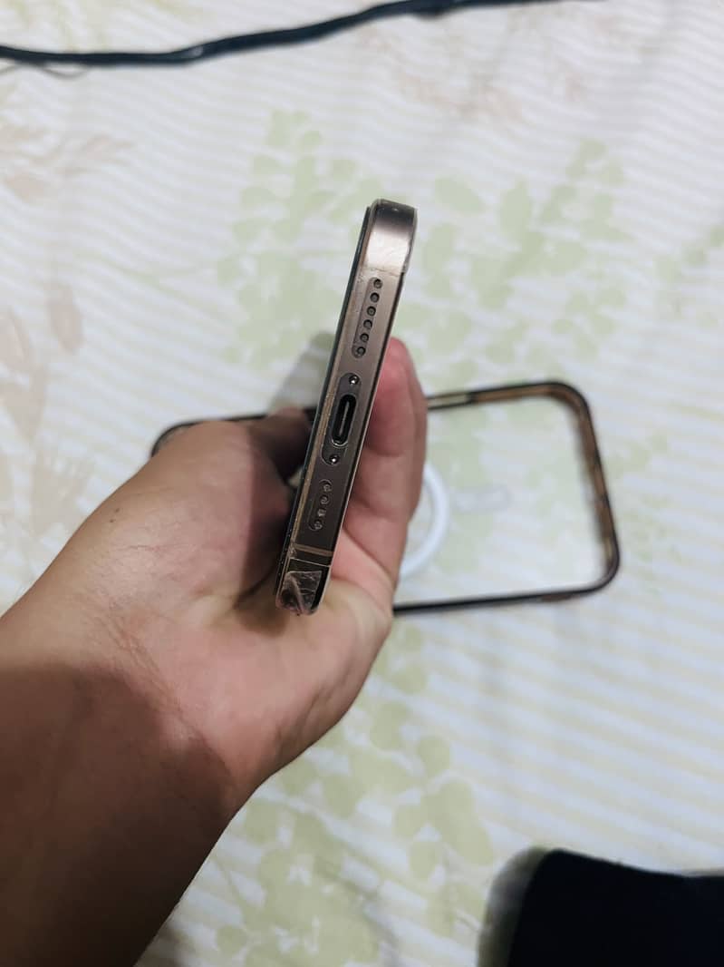 Apple iPhone 16 Pro Max 1