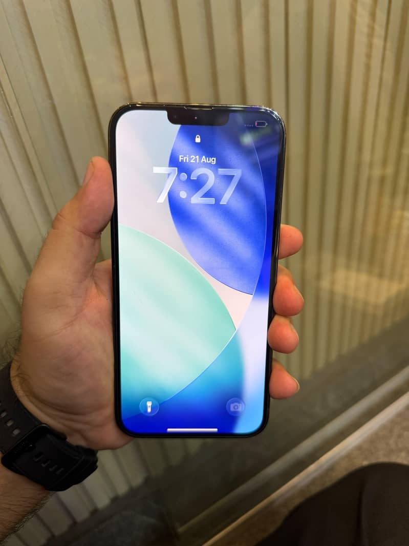 Apple iPhone 13 Pro Max 1