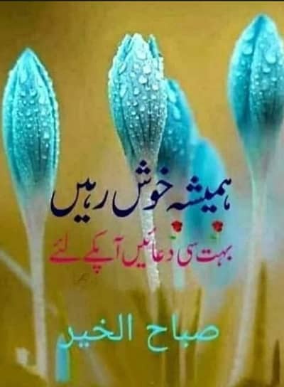 hostel worker