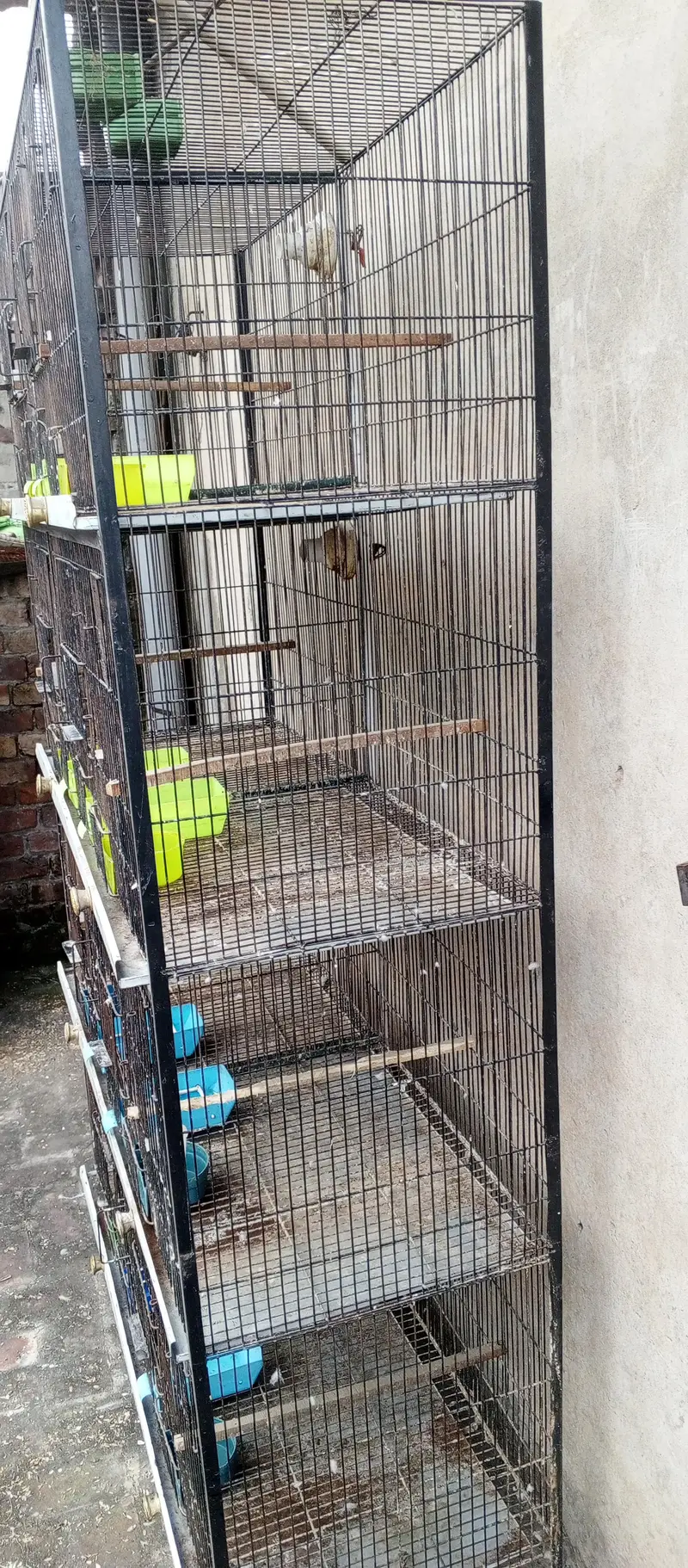 cages for sale — photo 3
