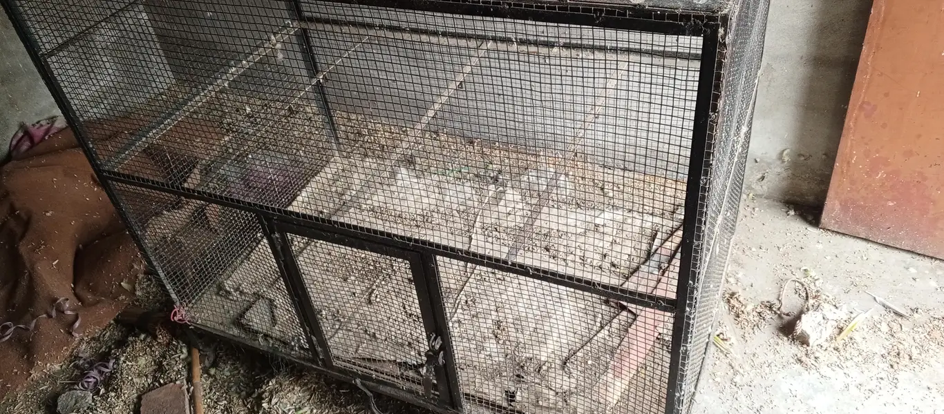 cages for sale — photo 5