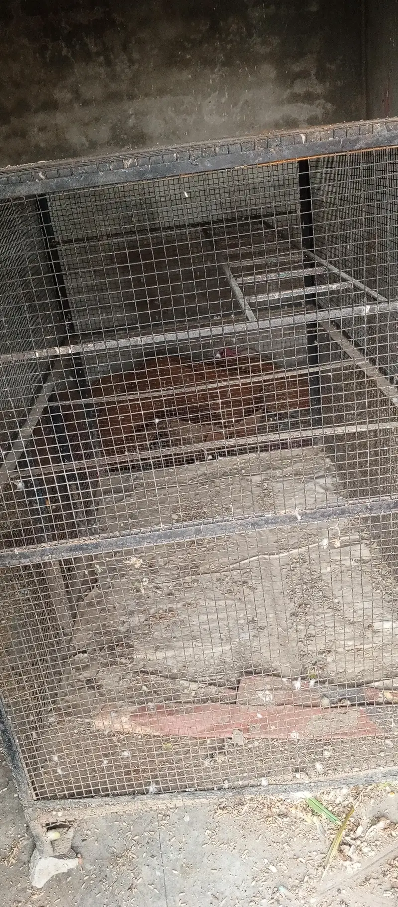 cages for sale — photo 6