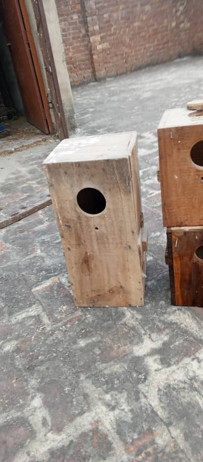 breeding box for  love birds