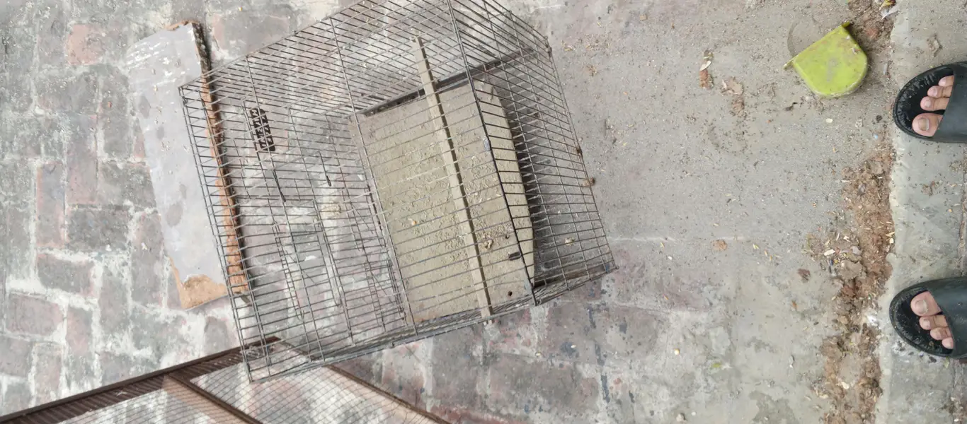 cages for sale — photo 8