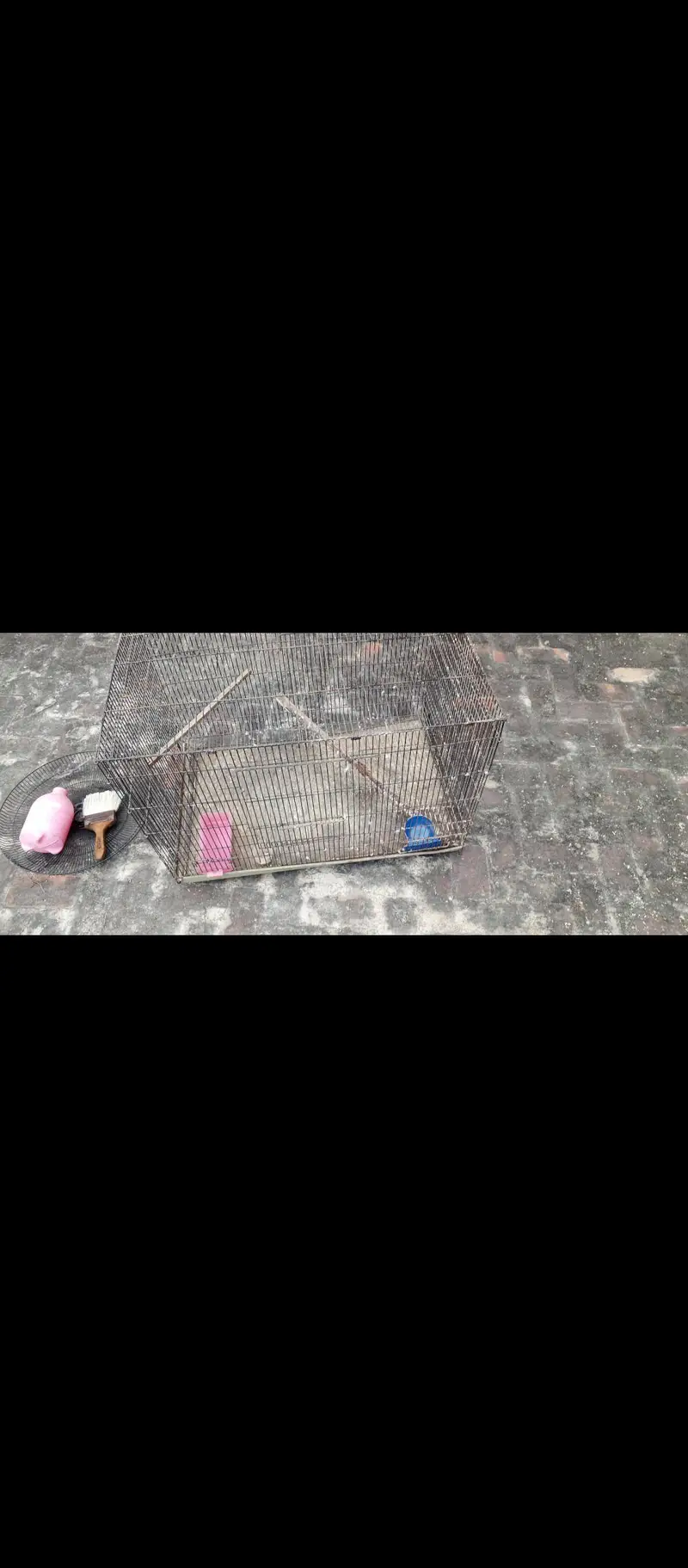 cages for sale — photo 10