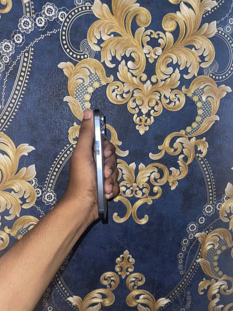 Apple iPhone 13 Pro 1