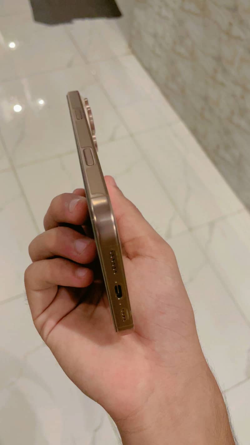 Apple iPhone 16 Pro Max 1