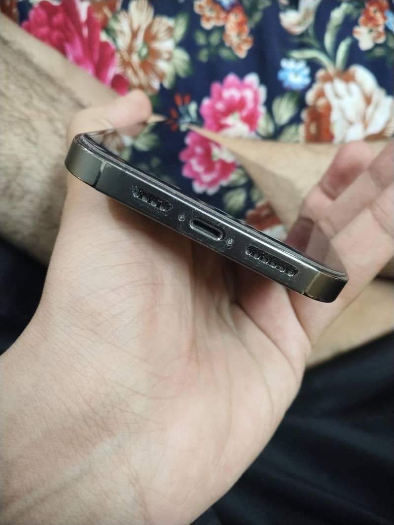 Apple iPhone 13 Pro Max 1