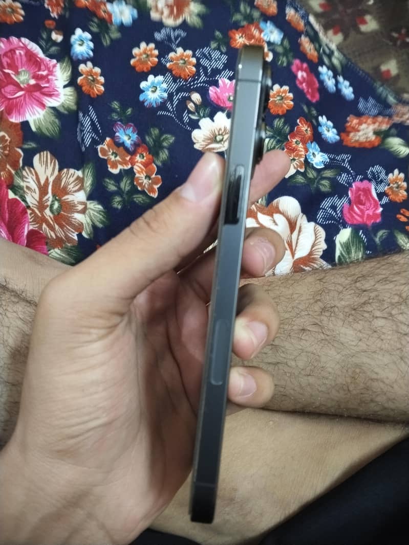Apple iPhone 13 Pro Max 2