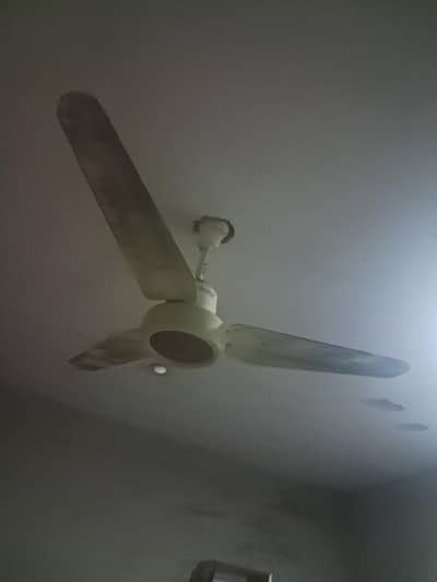 Ceiling fans for sale
