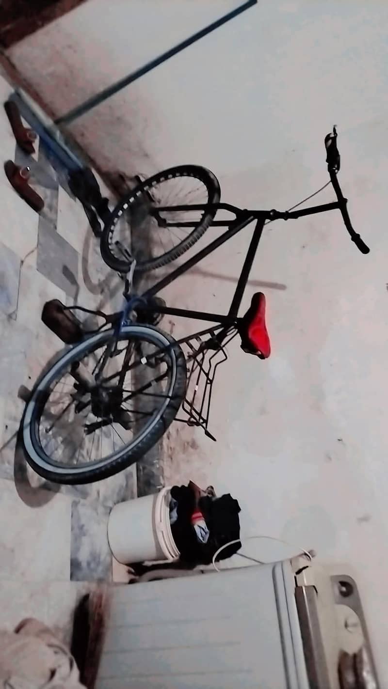 phoenix cycle 0