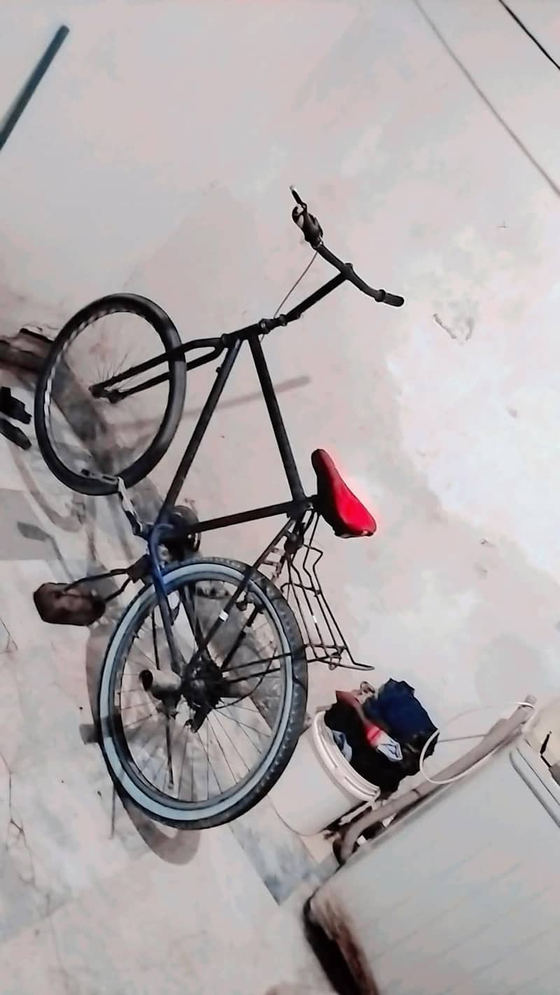 phoenix cycle 1
